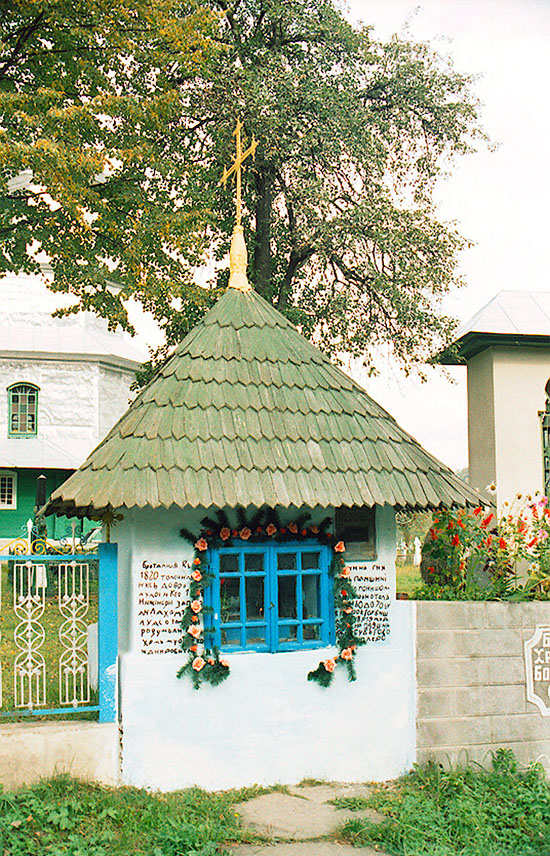 Вижницький район